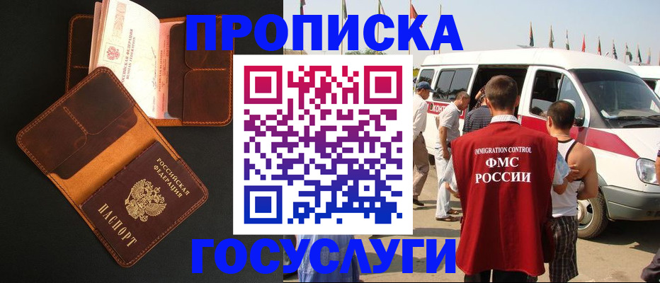 прописка законно в Борзе